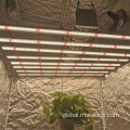 Full Spectrum Led Grow Light Bulbs For Houseplants